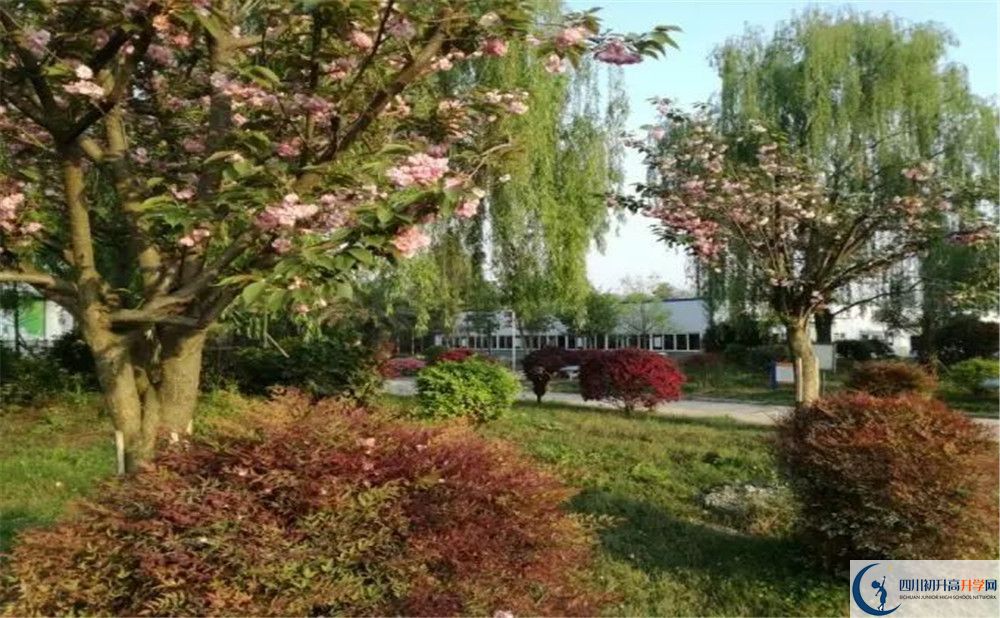 四川師范大學(xué)附屬第三實(shí)驗(yàn)中學(xué)實(shí)驗(yàn)班人數(shù)是多少？