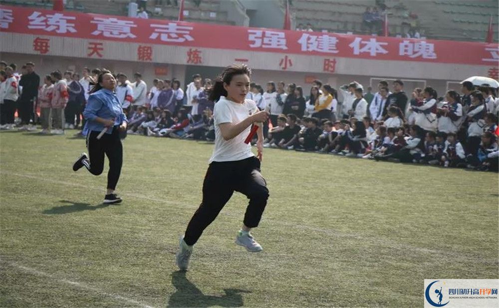 2020香城中學(xué)高三英語期末試卷在哪看？