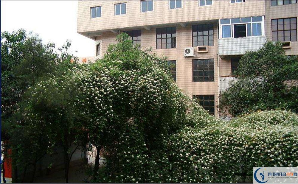 石室聯(lián)合中學(xué)蜀華分校2020屆高三數(shù)學(xué)測試題在哪看？
