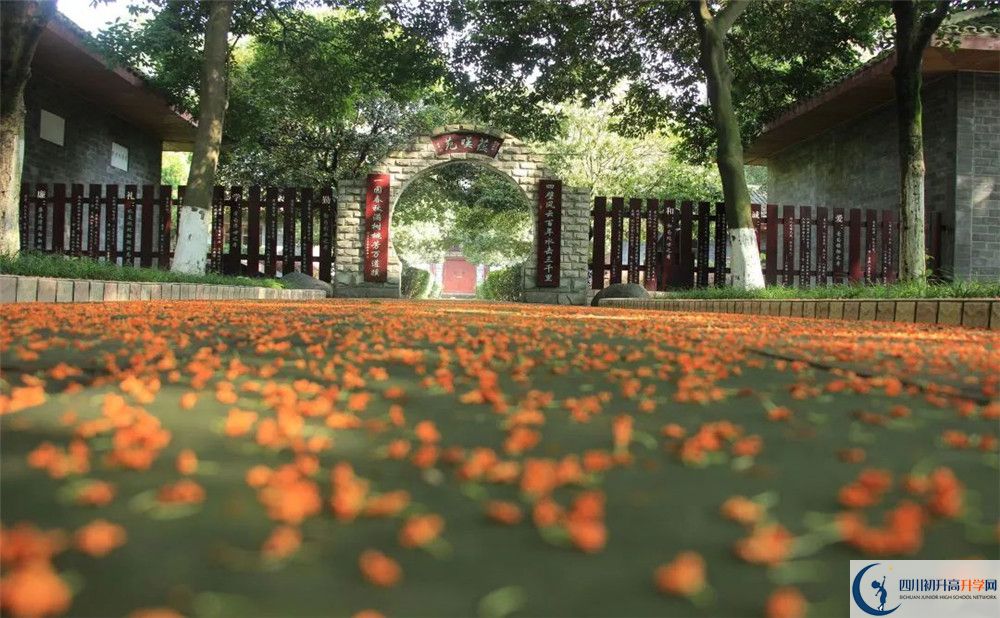 成都七中高新校區(qū)平行班中考重點(diǎn)率是多少？