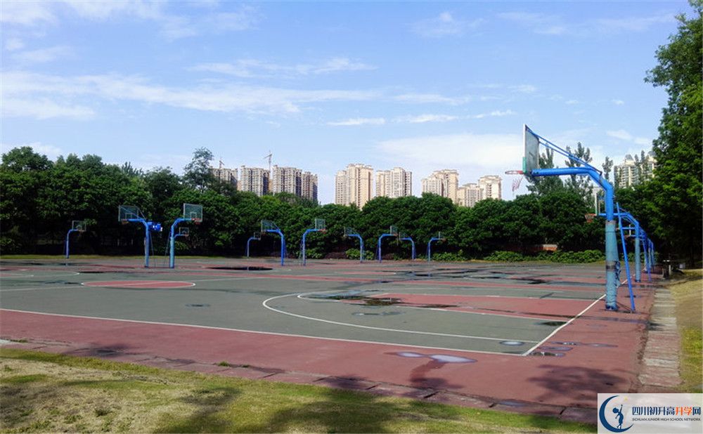 成都實驗外國語學(xué)校（西區(qū)）補課嗎？