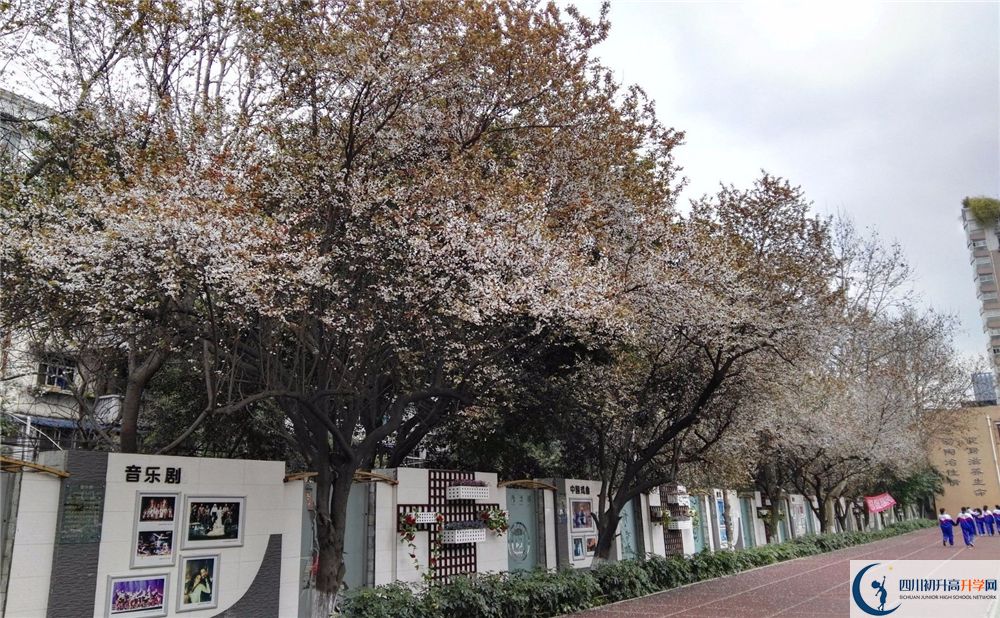 2020年成都大學附屬中學軍訓時間安排在哪看？
