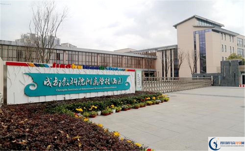 成都教科院附屬學(xué)校2020年高考人數(shù)是多少？