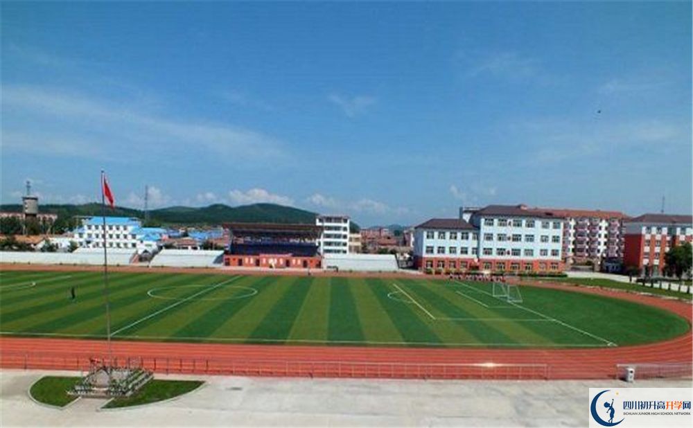 成都市華陽(yáng)中學(xué)2020年高考人數(shù)是多少？
