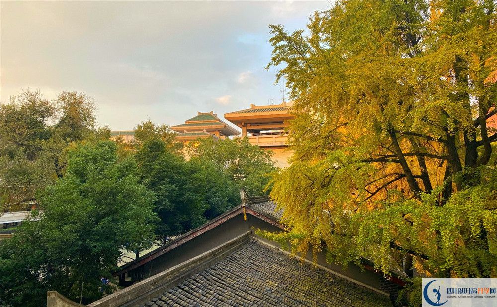成都石室中學北湖校區(qū)2020年中考錄取分數(shù)線是多少？