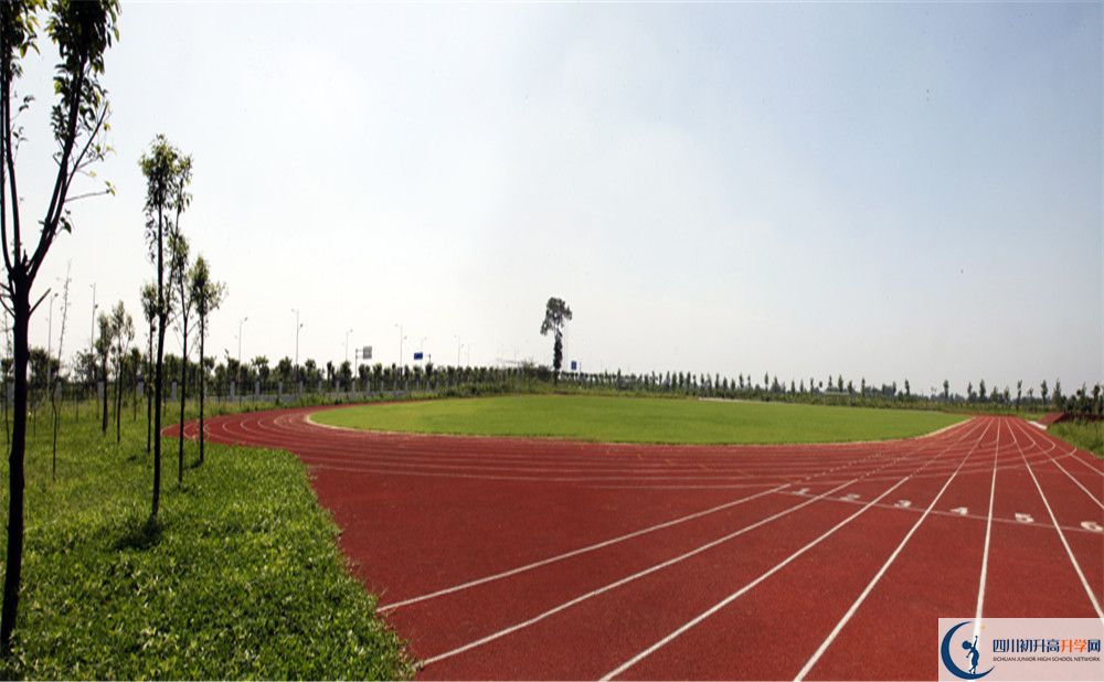 攀枝花市體育中學(xué)2020年中考錄取分?jǐn)?shù)線是多少？