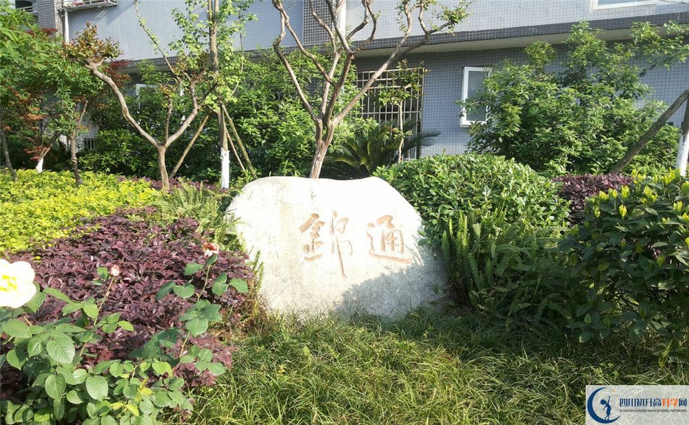 關(guān)于通錦中學(xué)2020年招生計劃（含統(tǒng)招、調(diào)招、指標(biāo)等）