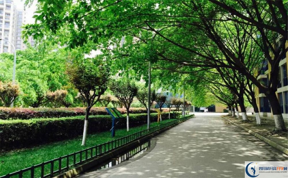 關(guān)于成都七中實(shí)驗(yàn)學(xué)校2020年招生計(jì)劃（含統(tǒng)招、調(diào)招）