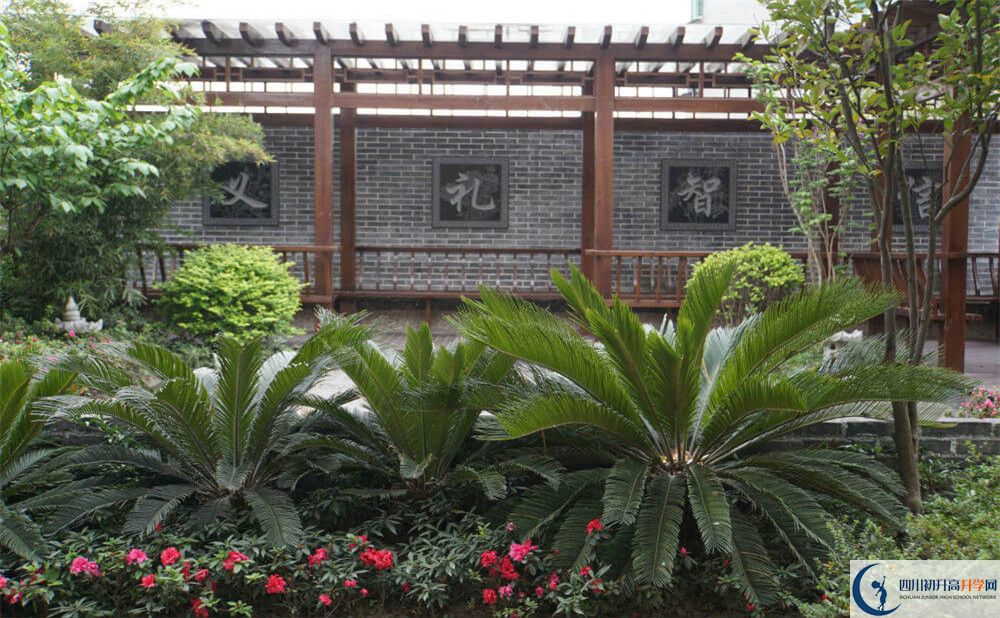 2020成都八中考自主招生條件是什么，有何變化？
