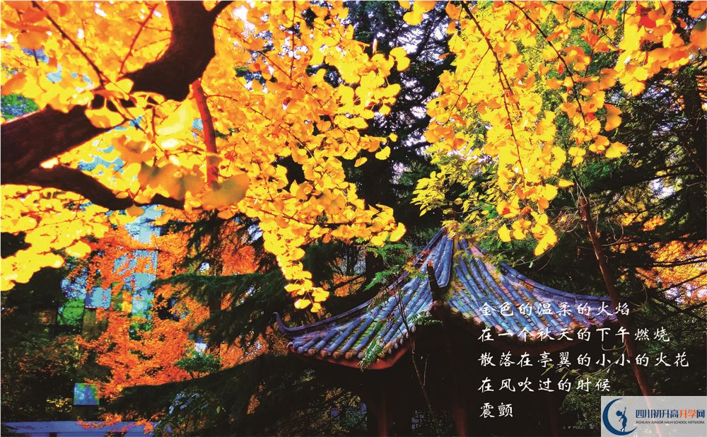 成都七中2020暑假放假時間安排？
