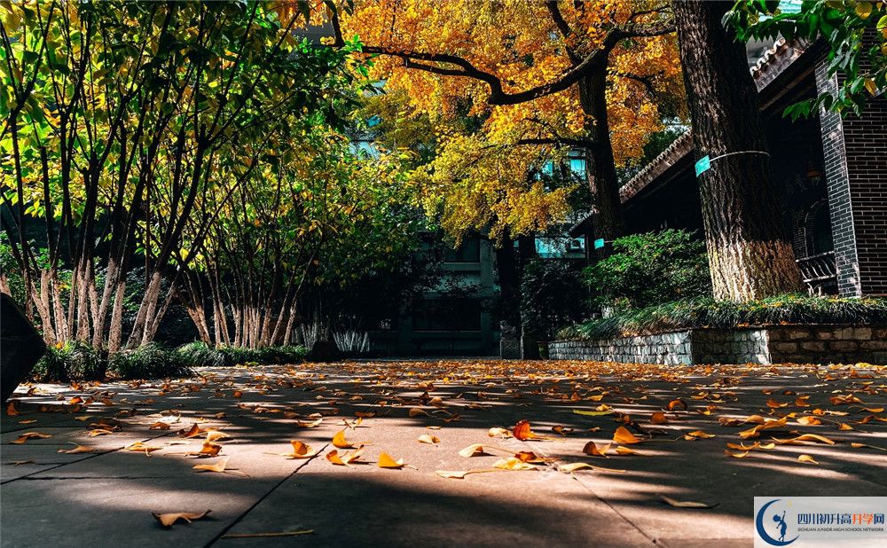 北京師范大學成都實驗中學初升高招生政策是什么？