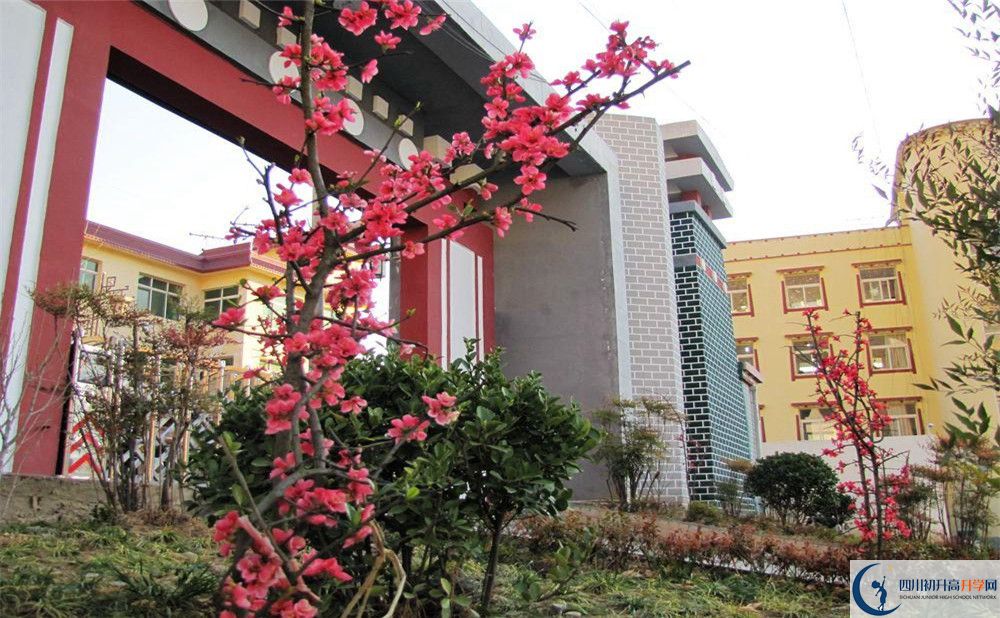 金川中學(xué)今年的錄取條件是否有變化？