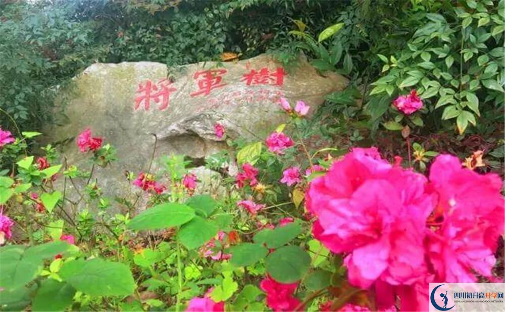 2020遂寧中學(xué)外國語實(shí)驗(yàn)學(xué)校初升高錄取線是否有調(diào)整？