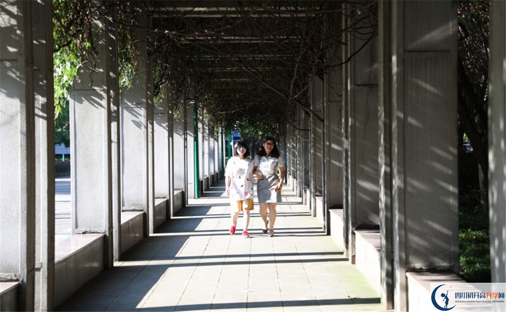 成都市龍泉中學2020年升學率高不高？