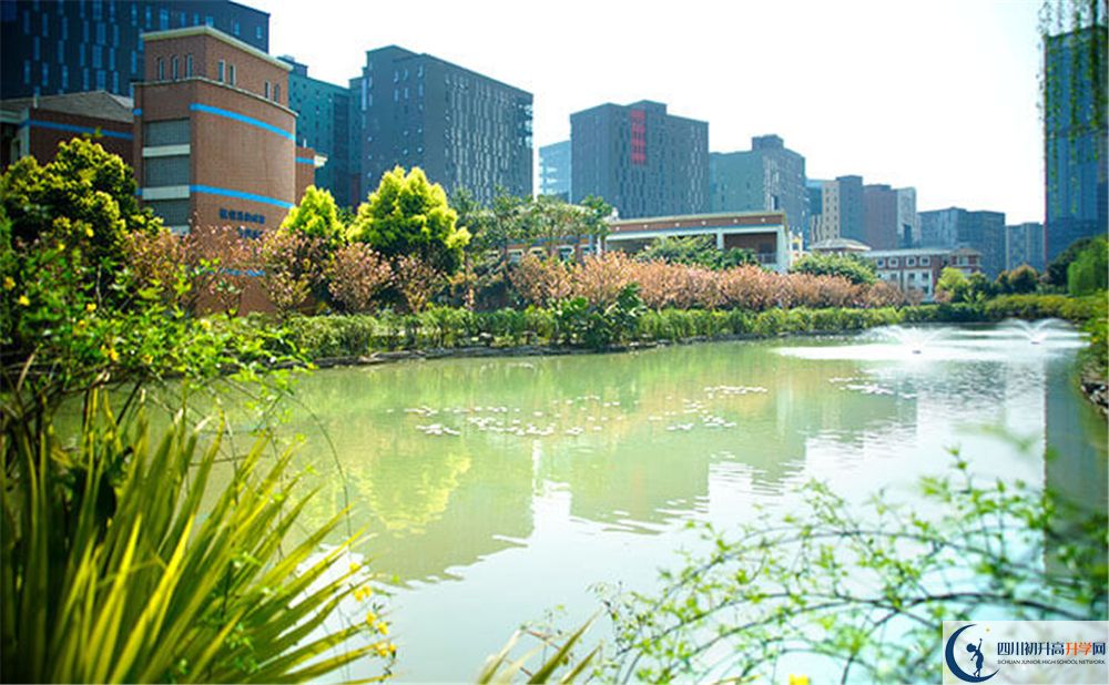 成都美視國際2020年怎么報名？