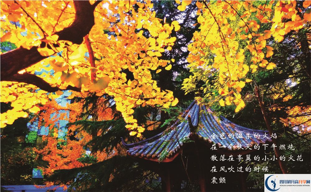 七中高新2020年學(xué)費(fèi)是多少錢？
