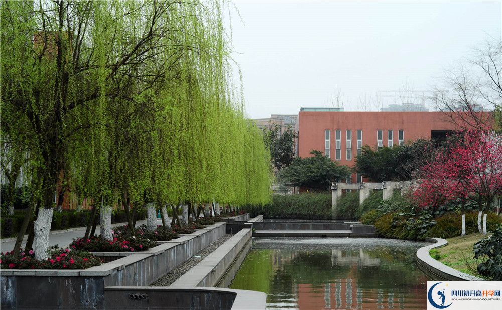 新都香城中學(xué)的哪個(gè)班2020年比較好？